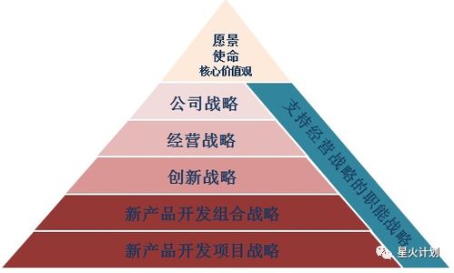 应用软件开发的新产品战略 从构思到市场成功